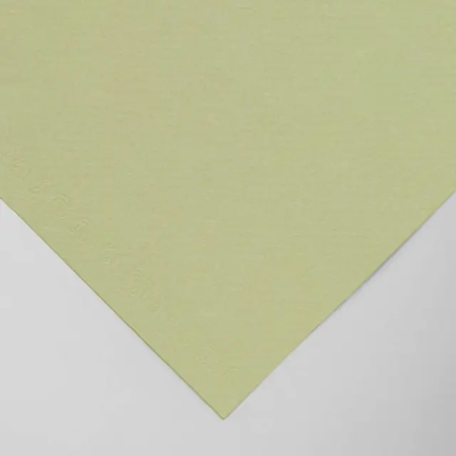 Χαρτόνι Canson Mi-Teintes 160g/m² 65x50cm - 480 Light Green