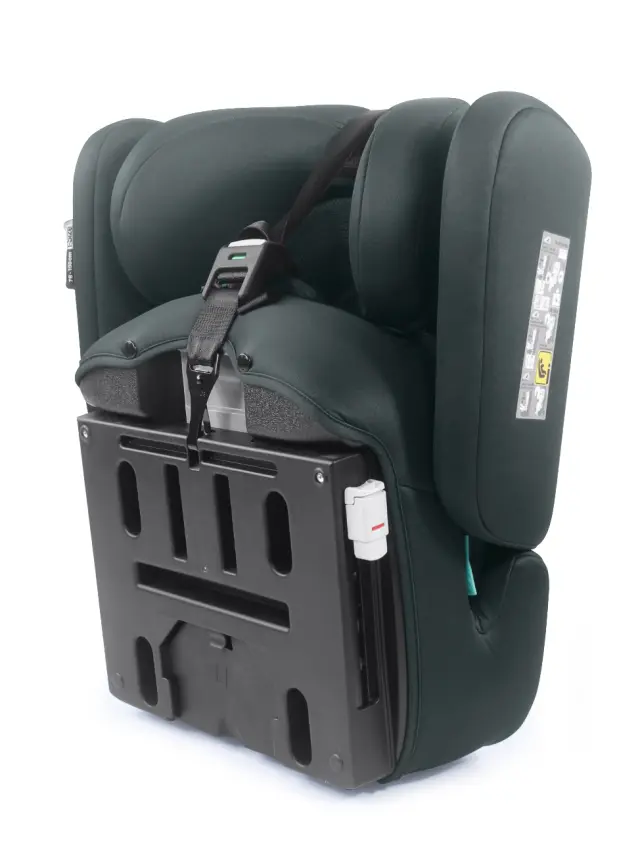 CAM IL MONDO DEL BAMBINO Flexy i-Size 76–150 εκ Παιδικό κάθισμα αυτοκινήτου col 221 Πράσινο 2