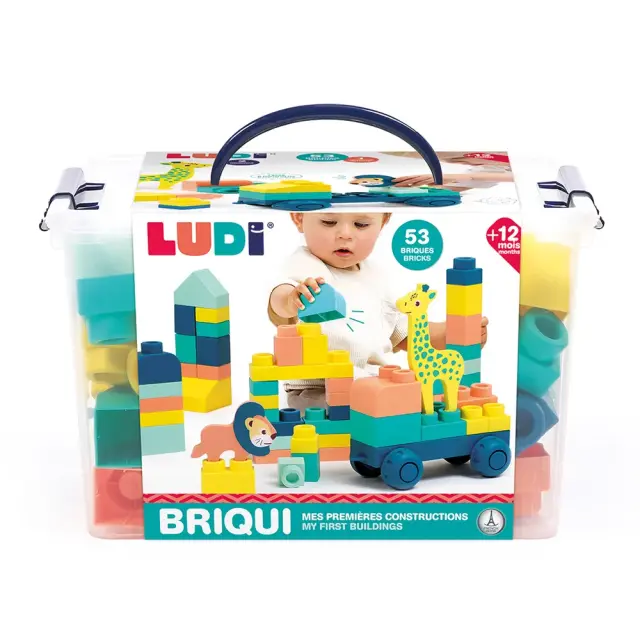 Ludi Σετ 56 Τουβλάκια σε Βαλιτσάκι (12+ μηνών) 30083 3