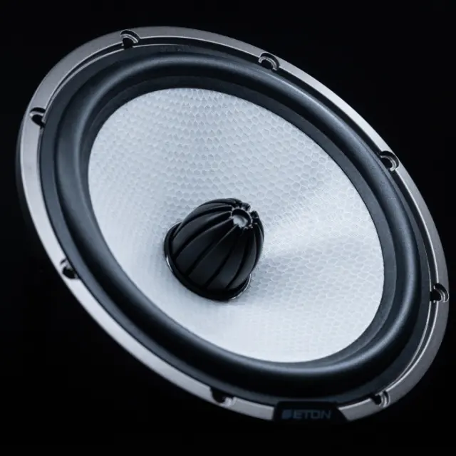 ETON HEX 165 mm woofer Hexacone membrane 3