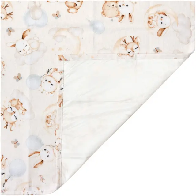 Σελτεδάκι - Πάνα Flannel με Μεμβράνη 75x50cm Cloudy Dreams 5904506823505 3