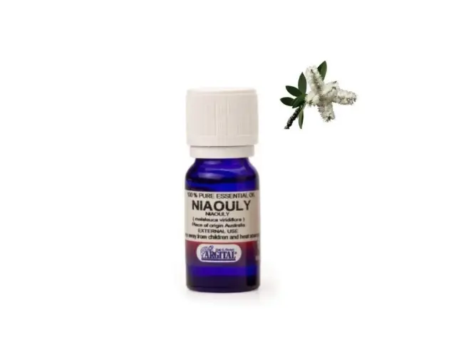 ARGITAL Essential Oil Niaouly – Φυσικό Αιθέριο Έλαιο Niaouly για Πιτυρίδα, Καθαρισμό & Προστασία, 10 ml