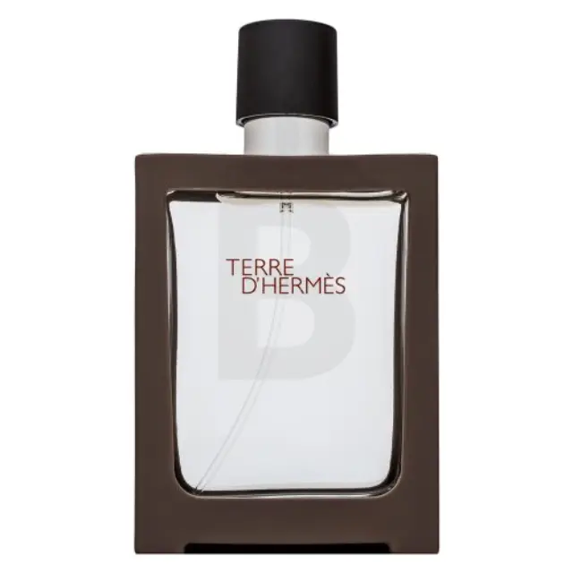 Hermès Terre D'Hermes - Refillable Eau de Toilette for men 30 ml