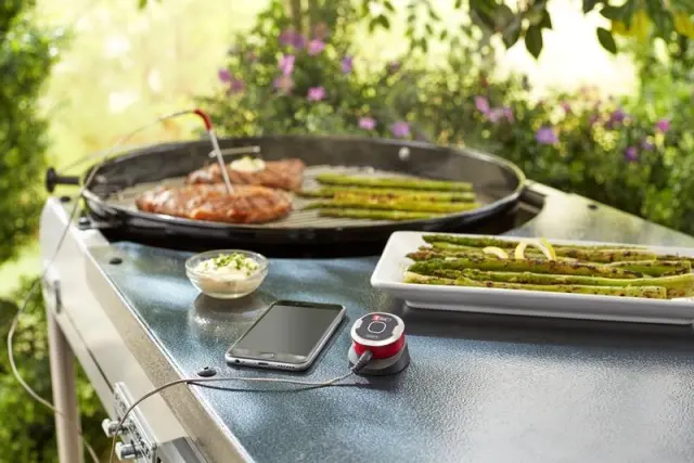 Θερμόμετρο IGrill Mini - Weber 3