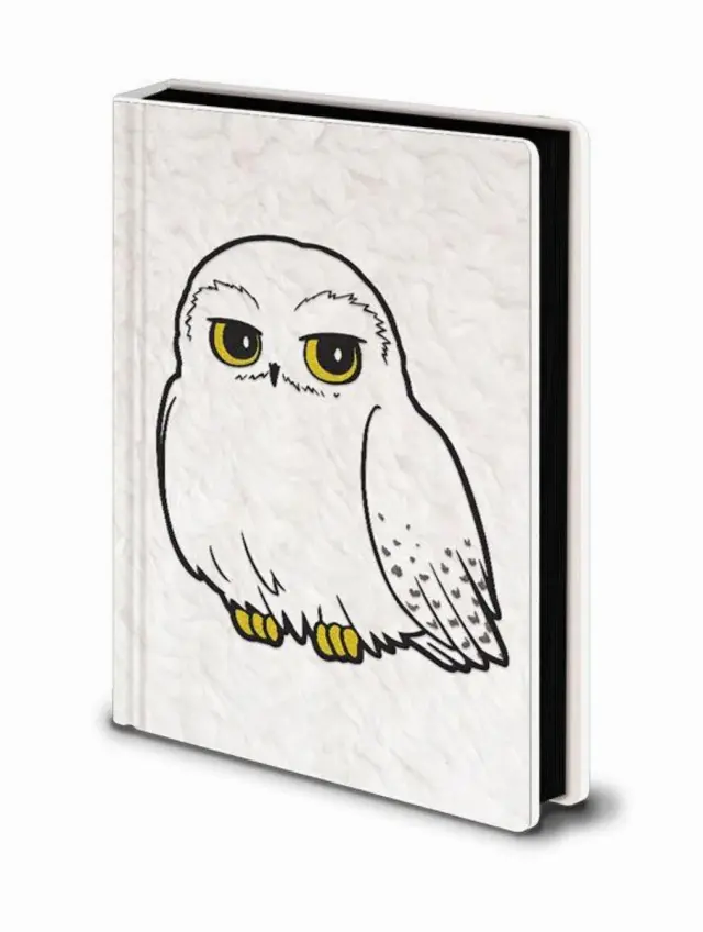 Σημειωματάριο A5 Ριγέ Harry Potter Hedwig Fluffy