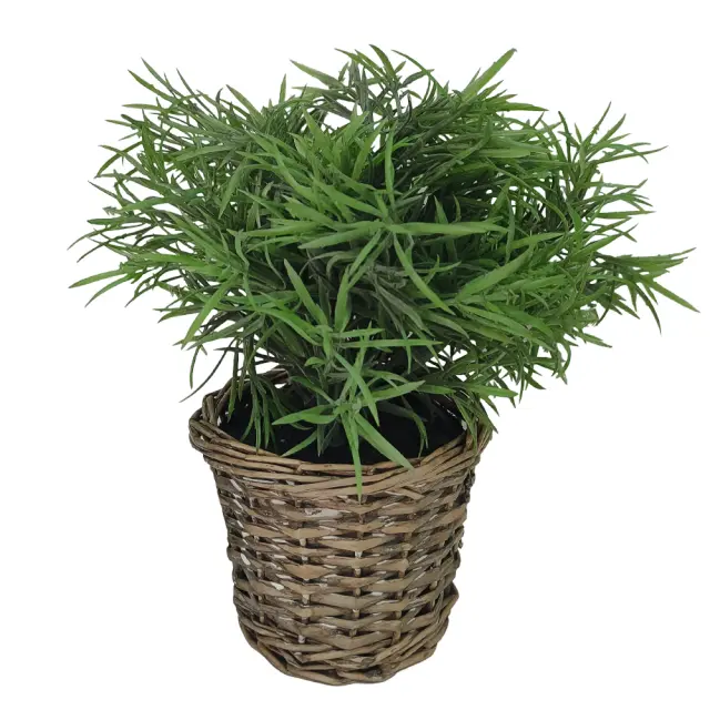 Φυτό θαμνώδες με γλαστράκι rattan Υ28cm Homeguru FL123