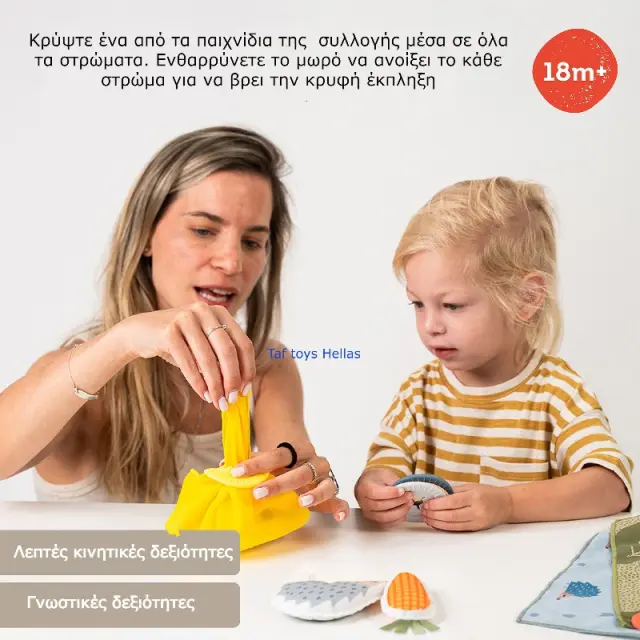 Εκπαιδευτικό Παιχνίδι Taf Toys Peek A Boo What Is Inside T-13335 3
