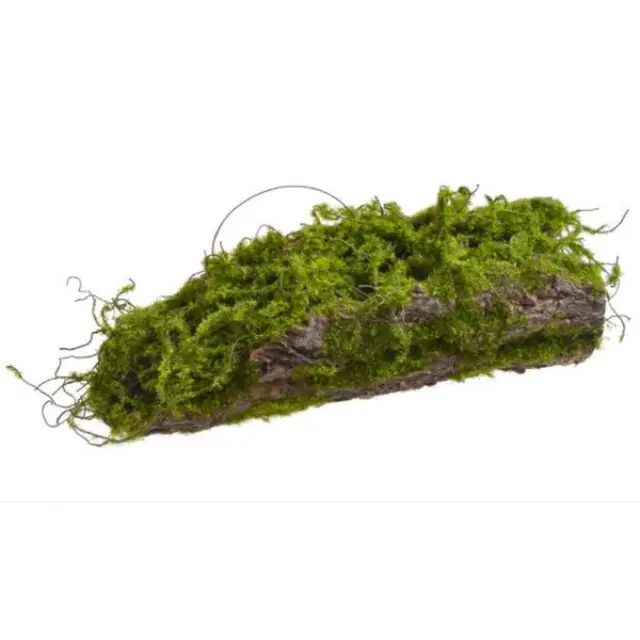 Κορμός ξύλου με moss, 29cm