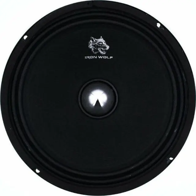 Ηχείο Αυτοκινήτου CTC-1006 10" (Midrange)