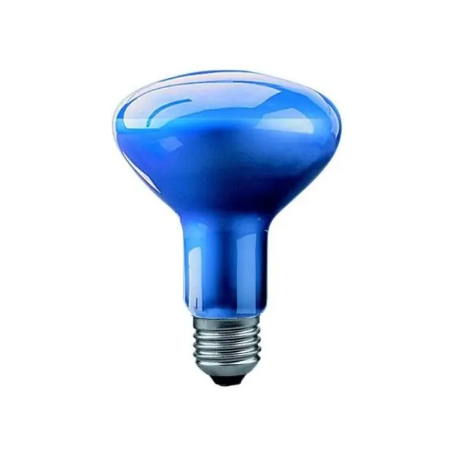Reflector Incandescent Bulb E27 75W R95 3500K 35" blue