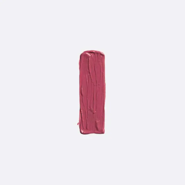Elixir Forever Lip Mat Κραγιόν 207