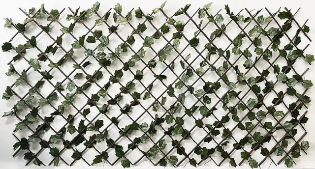 Πέργκολα Ιτιάς με Φύλλωμα 100x200cm - H&C