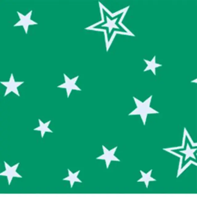 Διαφανές Χαρτί 115γρ Α4 Silver Stars 5Φύλλα 50744605