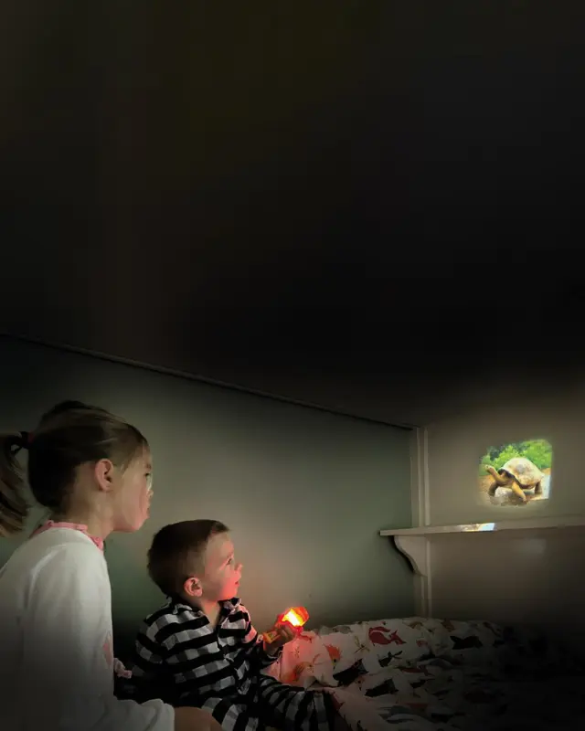 Φακός & Projector light Wild Animals Scratch 2