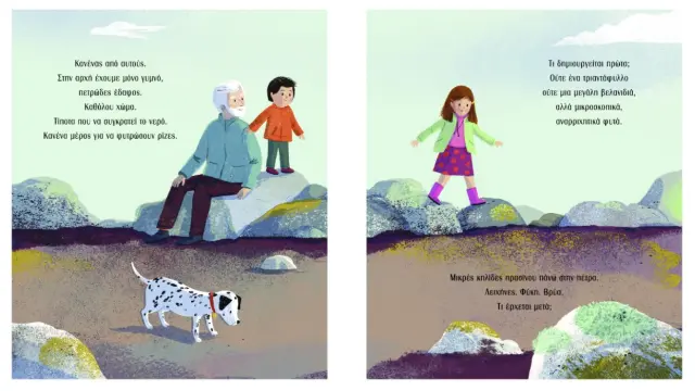 Διόπτρα Εκπαιδευτικό Βιβλίο Πώς δημιουργείται το δάσος για 4+ ετών 9789606536816 3