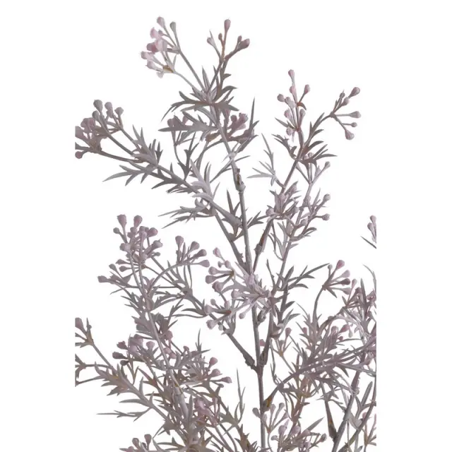 Κλαδί τεχνητό Broom bloom, μωβ, 76cm 2