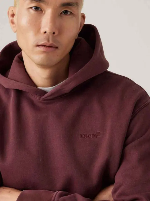 THE AUTHENTIC HOODIE REDS Red
