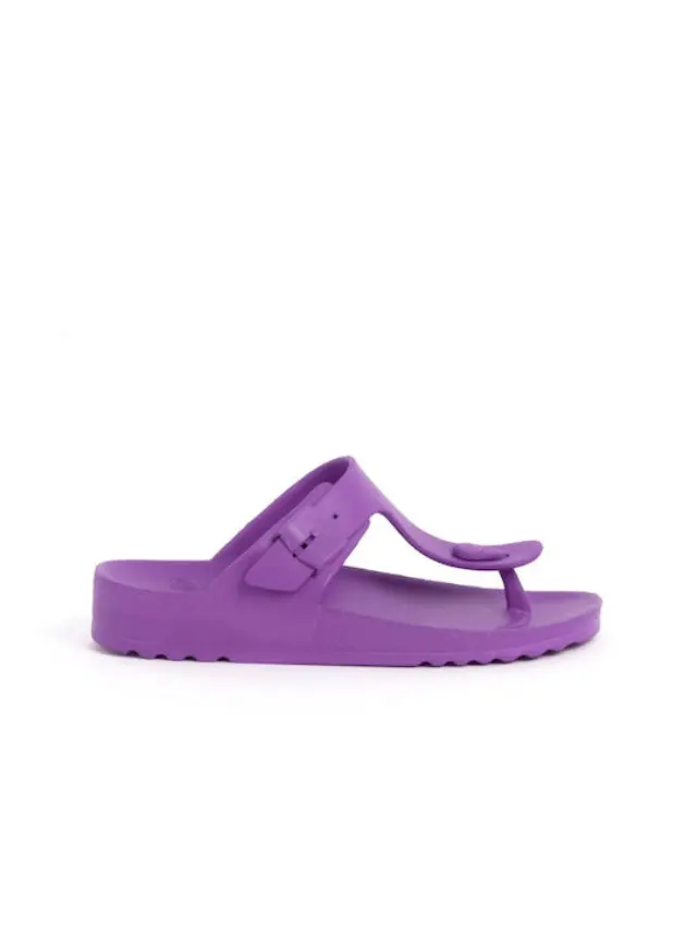 Scholl Bahia Flip-Flop Dark Purple Σαγιονάρες σε Μωβ Χρώμα 40 2