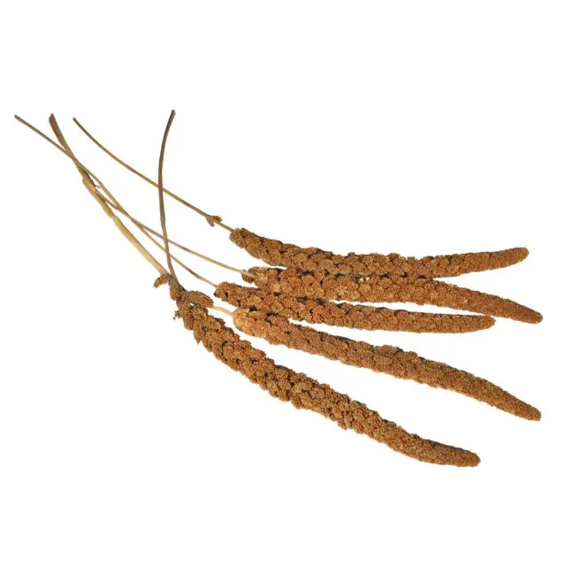 Vadigran French Millet Sprays Red Κλαδιά Μίλετ 400gr 3