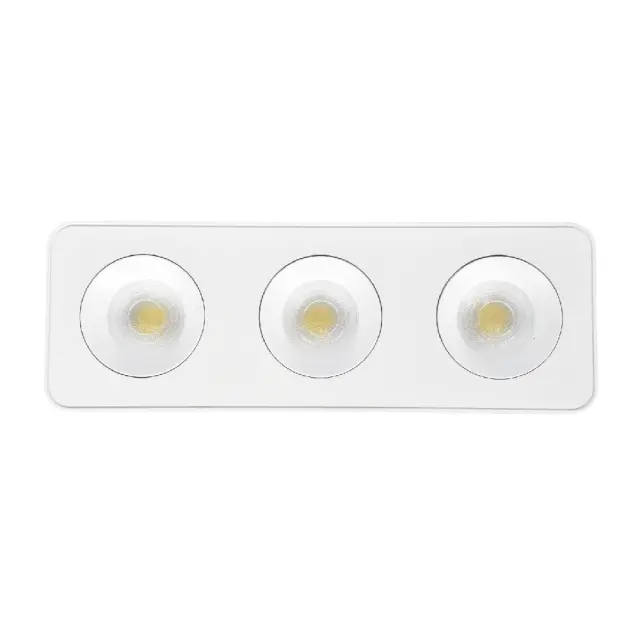 Inlight Downlight Mounted σποτ 3*8W 3CCT σε λευκή απόχρωση (X00280W) 2