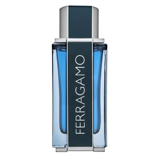 Salvatore Ferragamo Intense Leather Eau de Parfum for men 100 ml