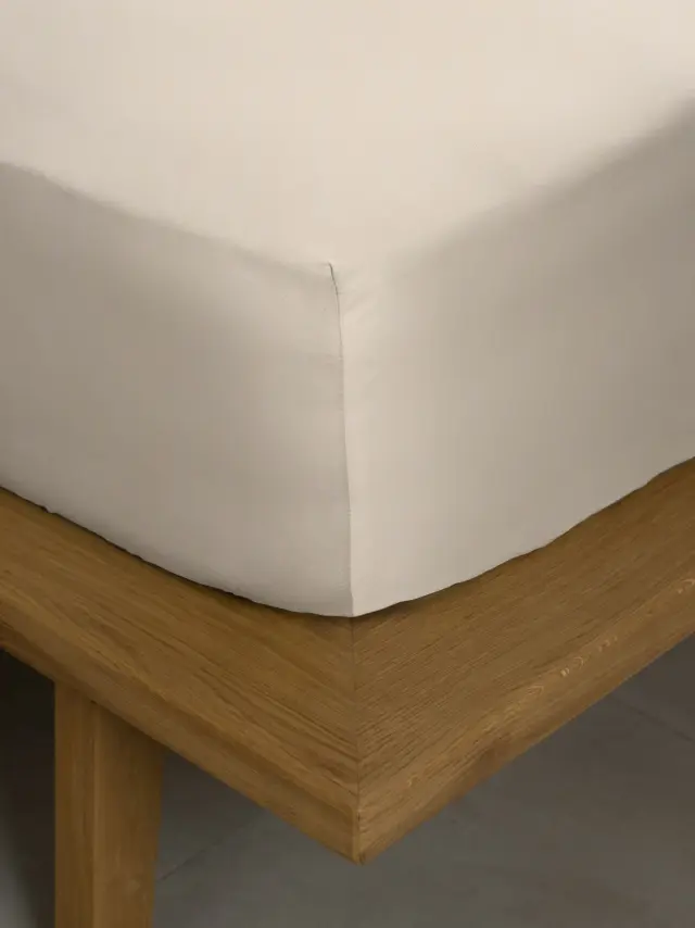 Κατωσέντονο Βαμβακοσατέν Omnia με λάστιχο Beige Διπλό (160x200+40) Sunshine