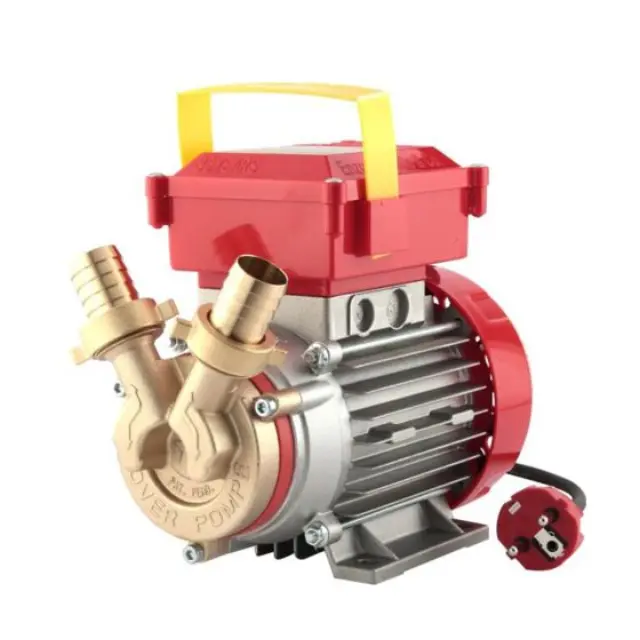 Rover Pompe 25 CE Αντλία μετάγγισης με ιπποδύναμη 0.8HP μπρούτζινη / 101322