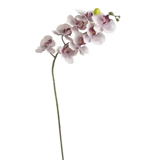 Ορχιδέα 75cm, light pink