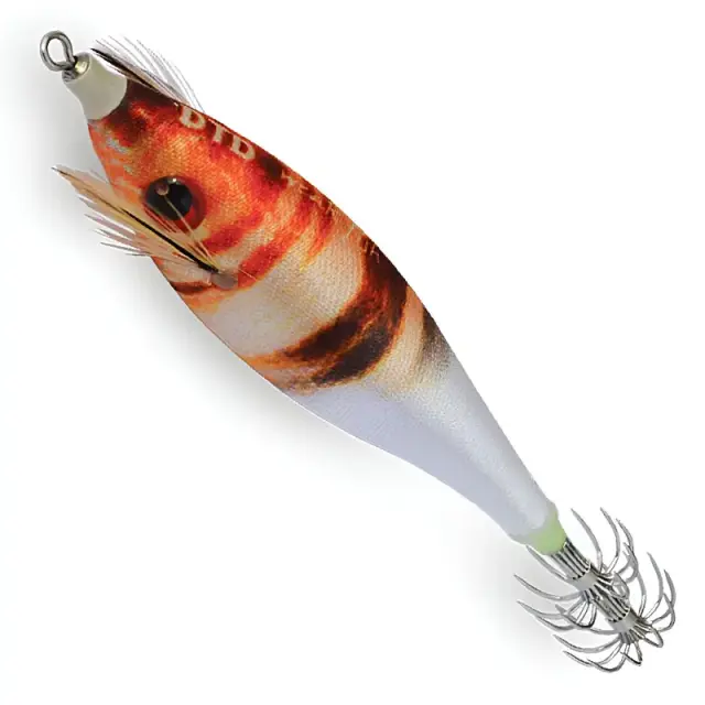 Καλαμαριέρα DTD Weak Fish Bukva 2.5 Painted comber