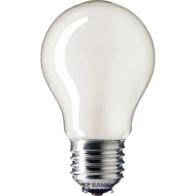 Incandescent Bulb E27 25W A55 230V FR