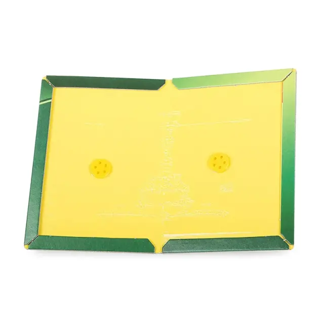 Ποντικοπαγίδα κόλλας – Green corps mouse catcher trap 2