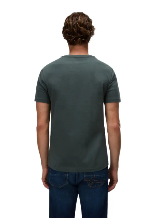 Napapijri - Ανδρικό T-shirt Salis Ss Sum Regular Fit NP0A4H8D-G1S Πράσινο 2
