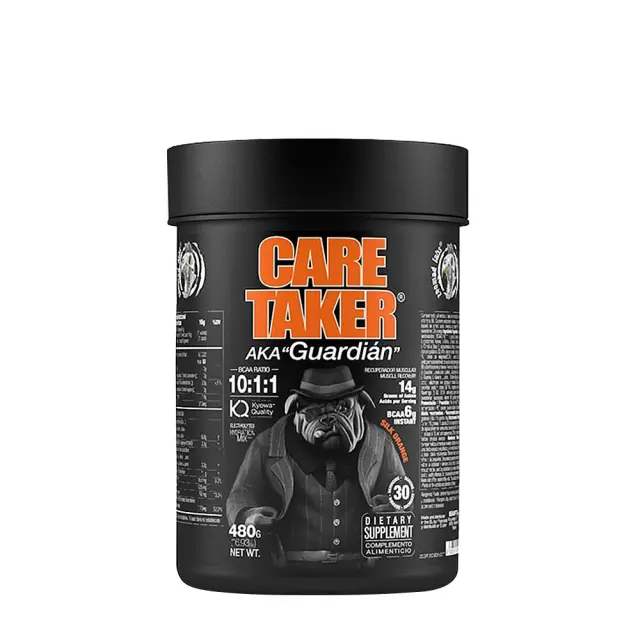 Zoomad Labs Caretaker® BCAAs 10:1:1 Silk Orange, 480 g