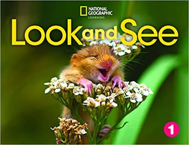 LOOK AND SEE LEVEL 1 BRE STUDENT S BOOK