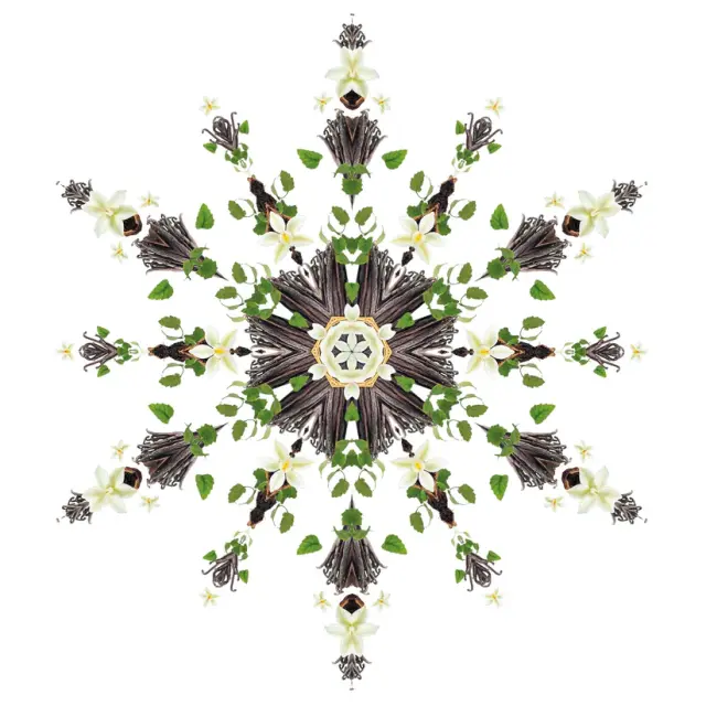 Maison Berger Paris Lampe Berger Refill Υγρό Αναπλήρωσης Καταλυτικής Λάμπας Vanilla Magnificence 500ml 3