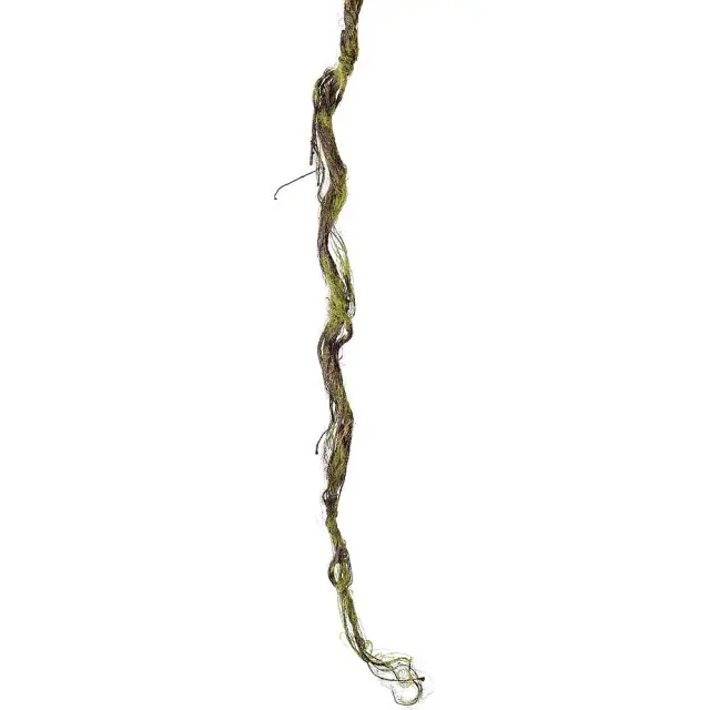 Κλαδί Κληματσίδα Με Βρύα 170cm
