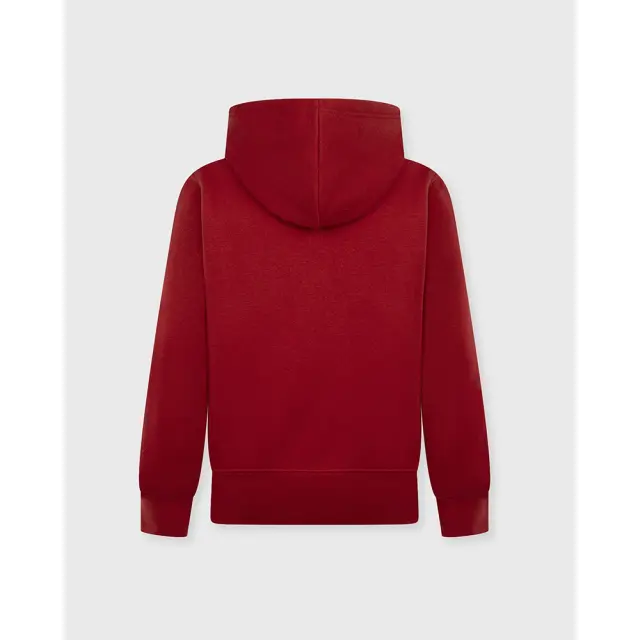 Jordan Essentials Baseline Fleece ΠΑΙΔΙΚΗ ΜΠΛΟΥΖΑ (95F083-R78) - Κόκκινο 2