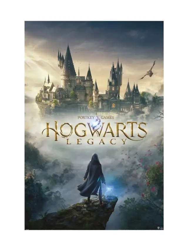 Pyramid Αφίσα HOGWARTS LEGACY - Wizarding World Universe - Poster 61 x 91cm