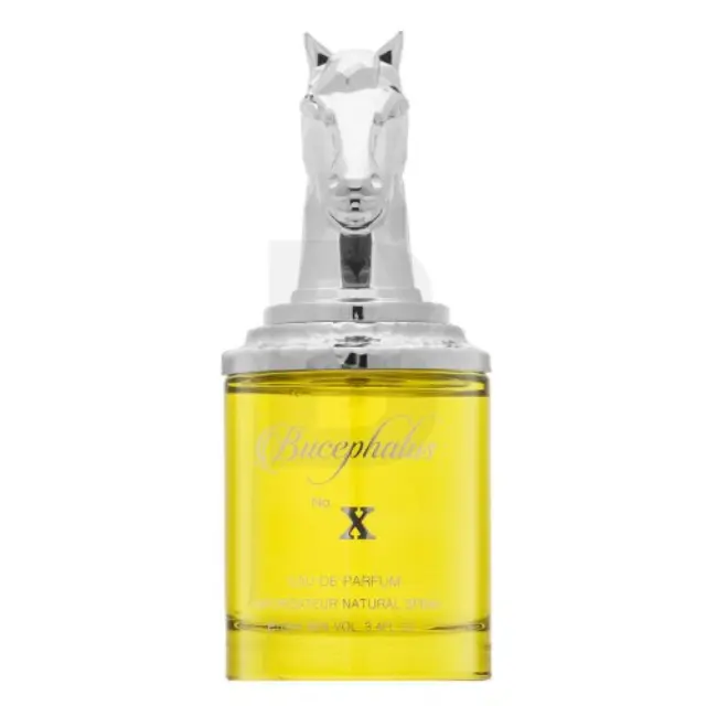 Armaf Bucephalus No. X Eau de Parfum for men 100 ml