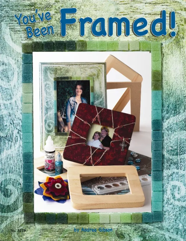 Βιβλίο You ve been Framed