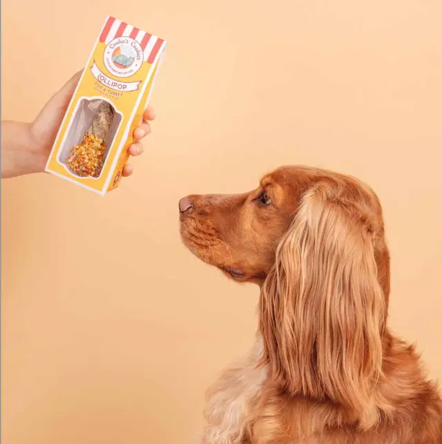 Cooka's Cookies Chewy Pop Lollipop Με Γαλοπούλα Και Δέρμα Μπακαλιάρου 35 40gr Μονόχρωμο 2