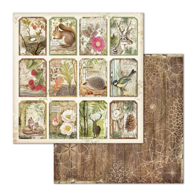Χαρτί Scrapbooking Stamperia Διπλής Όψης - Forest Tag - 31x30cm
