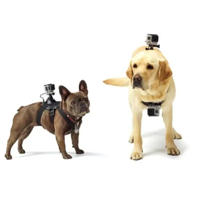 Ιμάντας σκύλου με βάση για GoPro και άλλες Action κάμερες PULUZ (PU156) Μαύρο 2