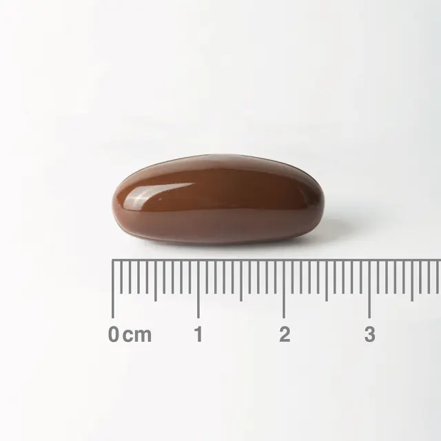 LAMBERTS Soya Lecithin 1200MG Για το Μεταβολισμό του Λίπους στο Ήπαρ, 120caps 2