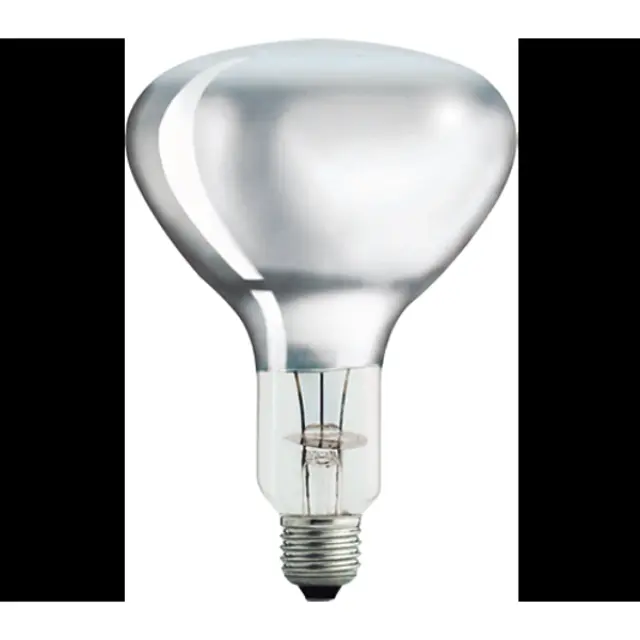 Reflector Bulb E27 300W R125 CLEAR
