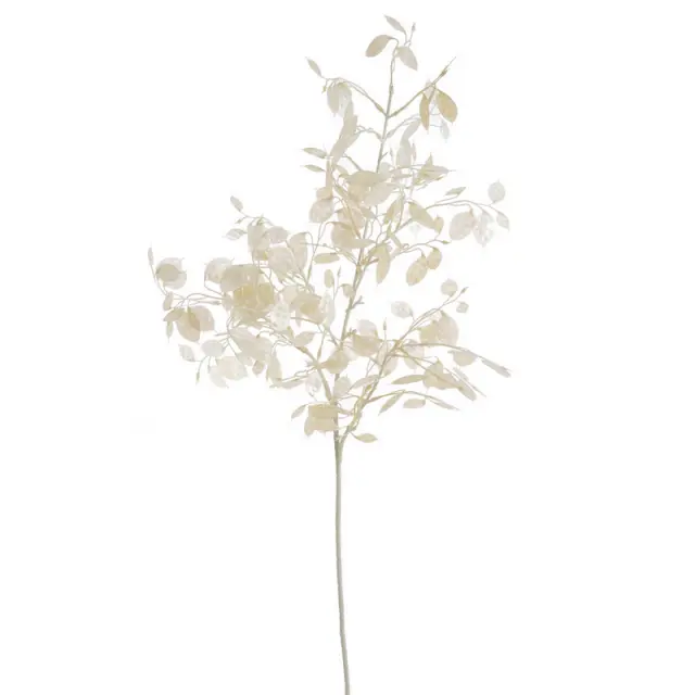 Κλαδί κάκτου, σαμπανιζέ, 98cm