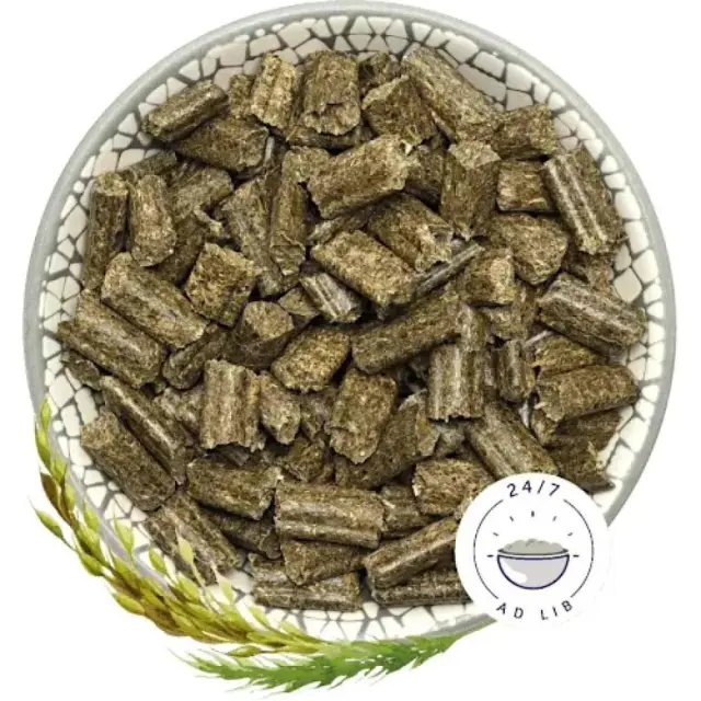 Bunny Nature Rabbit Dream Basic Τροφή για Κουνέλια Νάνους 600gr 2