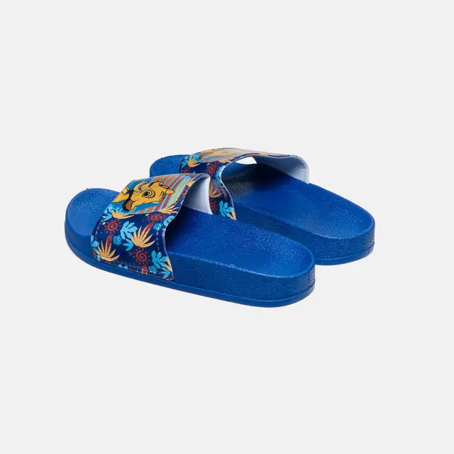 Slides Disney Lion King 3