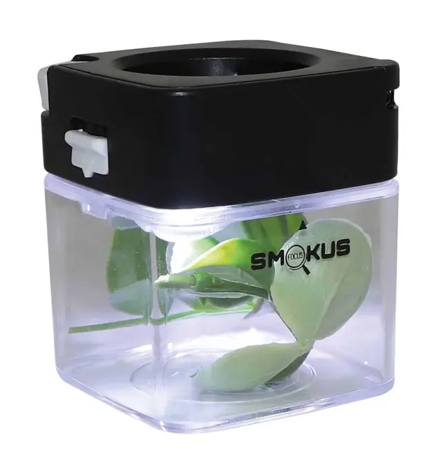 Smokus Focus Comet Black 2