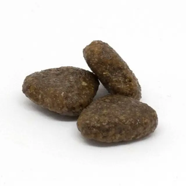 Summit10 Grain Free Adult Dog Sensitive Μονοπρωτεϊνική Ξηρά Τροφή Χωρίς Σιτηρά με Φρέσκο Σολομό και Πατάτα 3kg 2